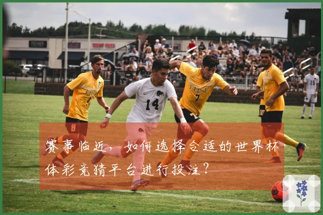 赛事临近，如何选择合适的世界杯体彩竞猜平台进行投注？